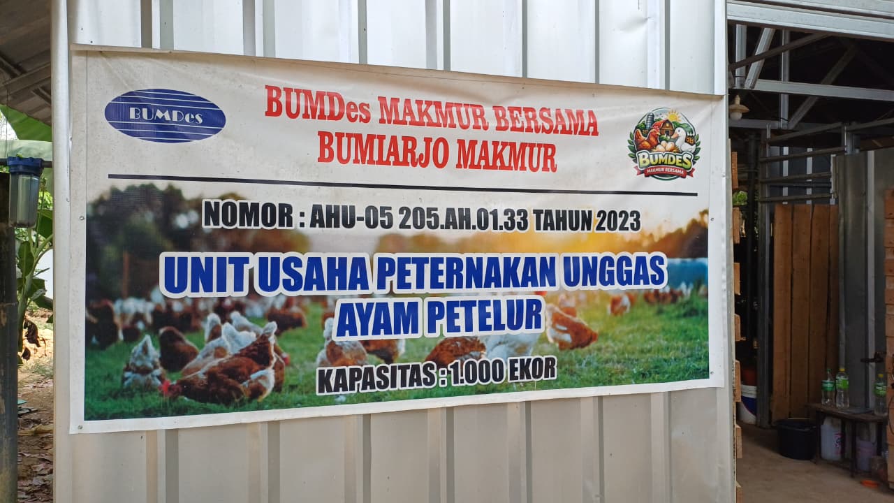 BUMDES AYAM PETELUR
